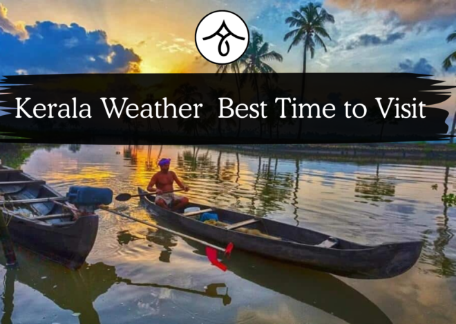 Best Time to Visit Kerala – Month by Month Climate Guide