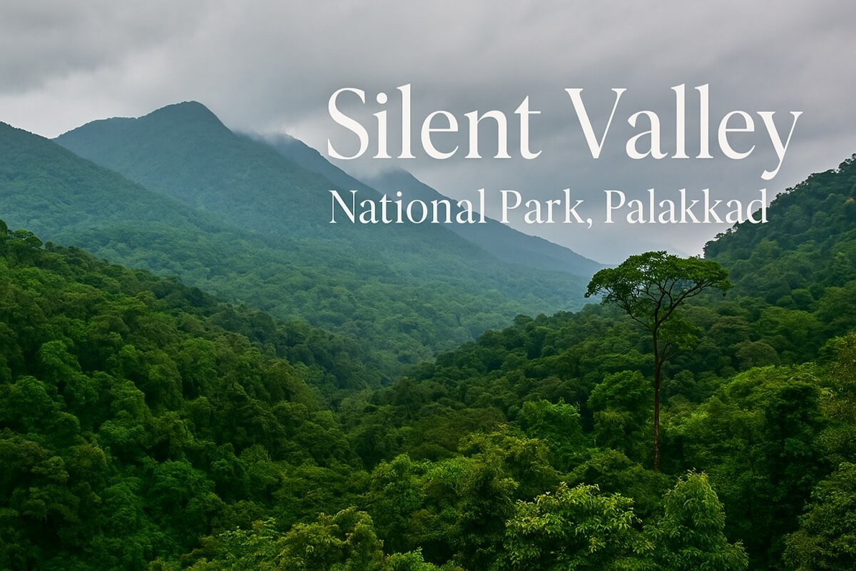 Best Time to Visit Silent Valley – Pristine National Park
