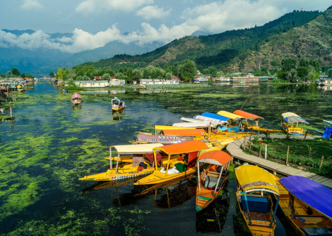 Best Time to Visit Srinagar for the Ultimate Experience