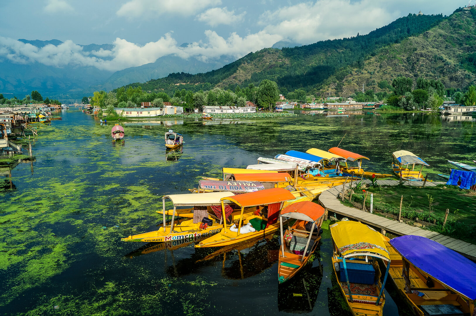 Best Time to Visit Srinagar for the Ultimate Experience