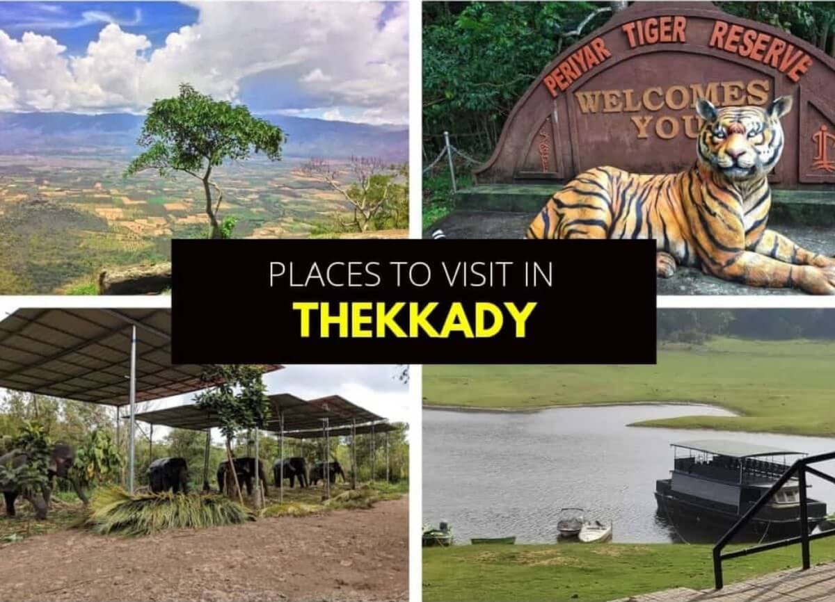 Best Time to Visit Thekkady – Periyar Wildlife Sanctuary