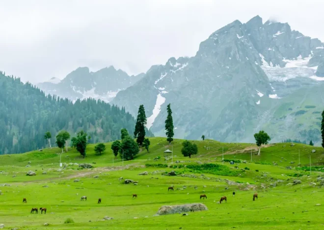 Best Time to Visit Sonamarg Meadow for Stunning Views