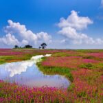 Best Time to Visit Satara
