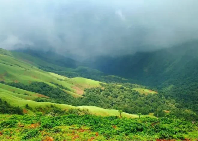 Best Time to Visit Chikmagalur – Perfect Season Guide